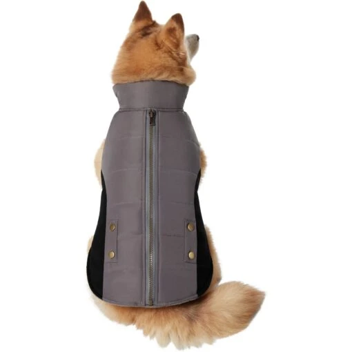 Frisco Mediumweight Faux Zipper Dog & Cat Jacket -Cat Supply Store 353817 PT2. AC SS1800 V1659010334