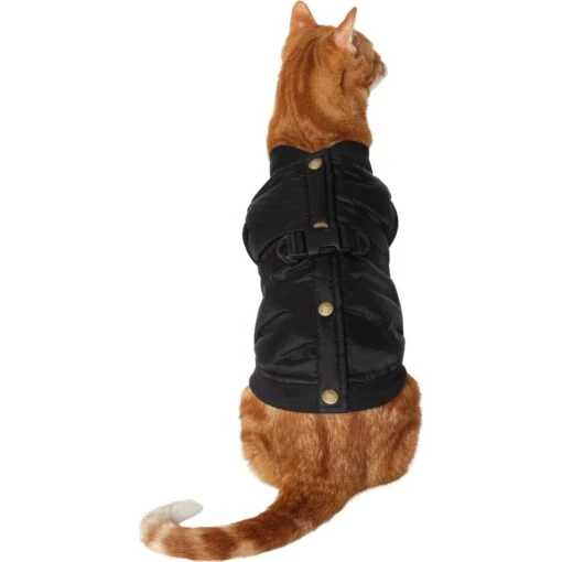 Frisco Lightweight Belted Puffer Dog & Cat Jacket -Cat Supply Store 353825 MAIN. AC SS1800 V1659012619