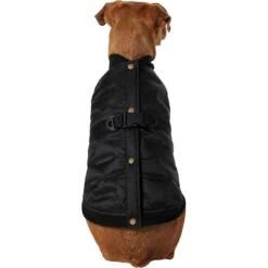 Frisco Lightweight Belted Puffer Dog & Cat Jacket -Cat Supply Store 353825 PT2. AC SS1800 V1659010815