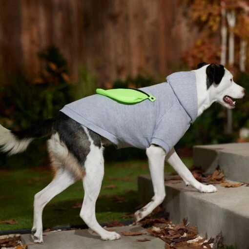 Frisco Dog & Cat Hoodie With Removable Fanny Pack -Cat Supply Store 353965 PT7. AC SS1800 V1660749475