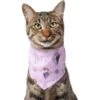 Disney Frozen Pattern Dog & Cat Bandana -Cat Supply Store 354062 MAIN. AC SS1800 V1658774724