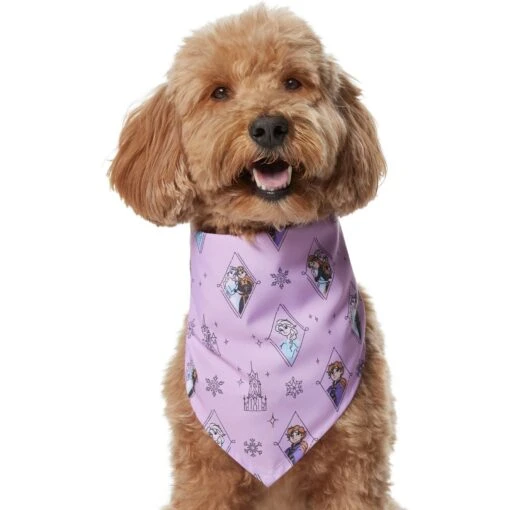 Disney Frozen Pattern Dog & Cat Bandana -Cat Supply Store 354062 PT2. AC SS1800 V1658955245