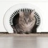 Purrfect Portal With Brush Interior Cat Door -Cat Supply Store 355128 MAIN. AC SS1800 V1642459005