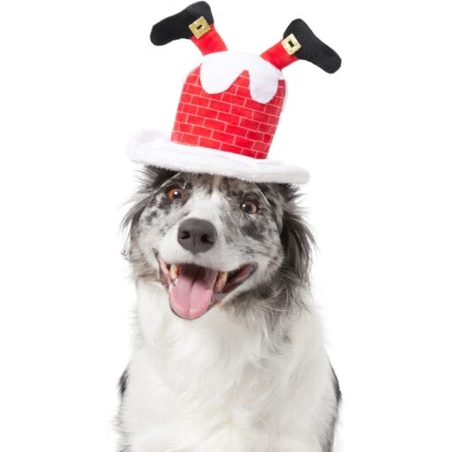 Frisco Down The Chimney Dog & Cat Headpiece -Cat Supply Store 357934 PT2. AC SS1800 V1660756047