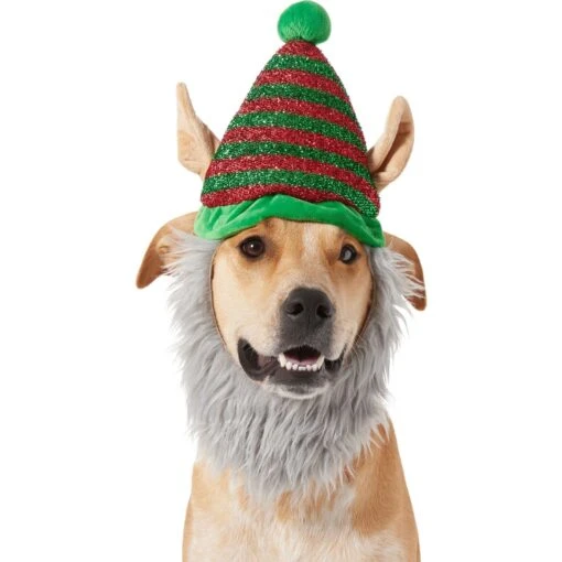 Frisco Elf Dog & Cat Headpiece -Cat Supply Store 357938 PT2. AC SS1800 V1660756047