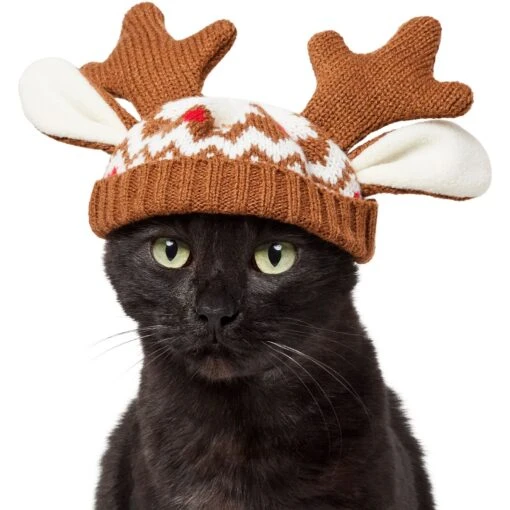 Frisco Antler Fair Isle Dog & Cat Hat -Cat Supply Store 358313 MAIN. AC SS1800 V1660764831