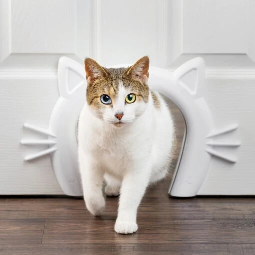 PetSafe Durable Interior Cat Door -Cat Supply Store 363624 MAIN. AC SS1800 V1657657334