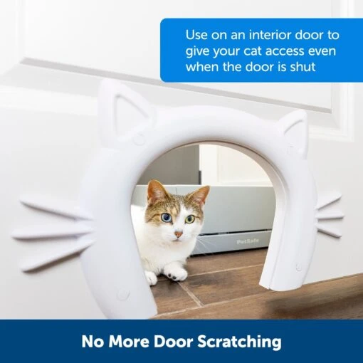 PetSafe Durable Interior Cat Door -Cat Supply Store 363624 PT1. AC SS1800 V1657657334