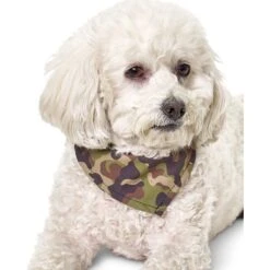 Boulevard Personalized Remy Camo Dog Bandana -Cat Supply Store 370165 PT5. AC SS1800 V1649376722