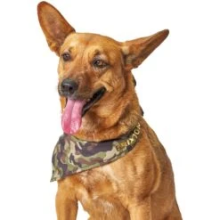 Boulevard Personalized Remy Camo Dog Bandana -Cat Supply Store 370165 PT6. AC SS1800 V1649376226