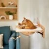 Frisco Acrylic Bowl Wall Mounted Cat Wall Shelf -Cat Supply Store 373439 MAIN. AC SS1800 V1673014135