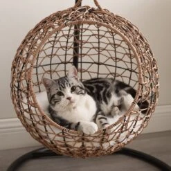 Sam's Pets Nala Hanging Egg Cat Condo -Cat Supply Store 373517 PT2. AC SS1800 V1647641250