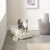 Sam's Pets Helix Cat Litter Box, White -Cat Supply Store 373533 MAIN. AC SS1800 V1647637933