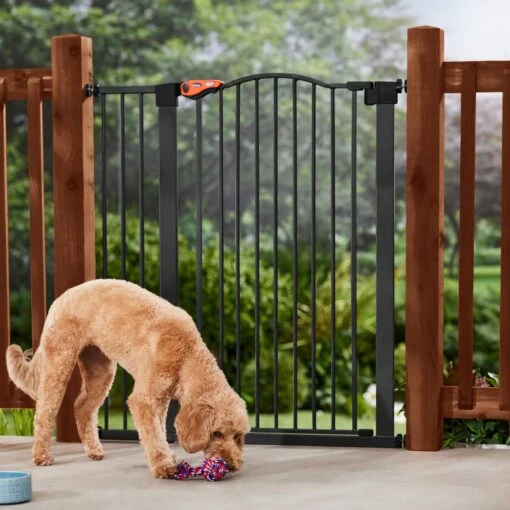 Frisco Outdoor Steel Arch Extra Tall Auto-Close Dog Gate -Cat Supply Store 507102 MAIN. AC SS1800 V1668736255