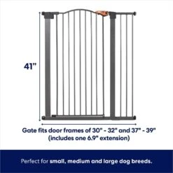 Frisco Outdoor Steel Arch Extra Tall Auto-Close Dog Gate -Cat Supply Store 507102 PT1. AC SS1800 V1668737488