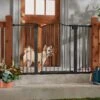 Frisco Outdoor Steel Arch Extra Wide Auto-Close Dog Gate -Cat Supply Store 507118 MAIN. AC SS1800 V1668737294