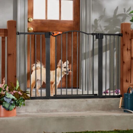 Frisco Outdoor Steel Arch Extra Wide Auto-Close Dog Gate -Cat Supply Store 507118 MAIN. AC SS1800 V1668737294