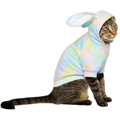 Frisco Wash Effect Bunny Ear Hoodie -Cat Supply Store 521374 MAIN. AC SS1800 V1699653752