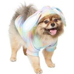 Frisco Wash Effect Bunny Ear Hoodie -Cat Supply Store 521374 PT2. AC SS1800 V1699653752