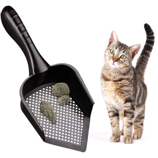 SunGrow Corner Box Clumping Fine Sand Cat Litter Scooper -Cat Supply Store 536566 MAIN. AC SS1800 V1677537361