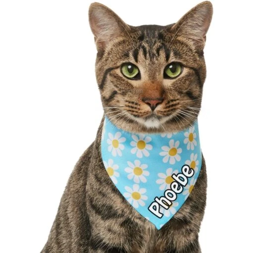 Frisco Personalized Blue Daisy Bandana -Cat Supply Store 555206 PT6. AC SS1800 V1669839922