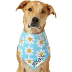 Frisco Personalized Blue Daisy Bandana -Cat Supply Store 555206 PT7. AC SS1800 V1669839925