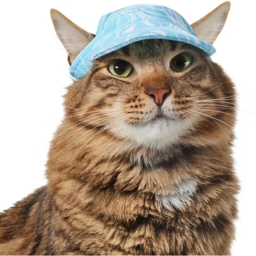 Frisco Blue Ocean Waves 30 + UPF Dog & Cat Beach Cap -Cat Supply Store 556182 MAIN. AC SS1800 V1677530963