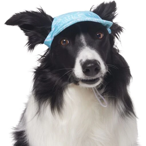 Frisco Blue Ocean Waves 30 + UPF Dog & Cat Beach Cap -Cat Supply Store 556182 PT3. AC SS1800 V1677530963