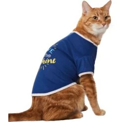 Frisco I Live In The Sunshine Dog & Cat T-Shirt -Cat Supply Store 556222 PT2. AC SS1800 V1674829137