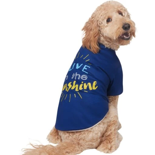 Frisco I Live In The Sunshine Dog & Cat T-Shirt -Cat Supply Store 556222 PT3. AC SS1800 V1674829145