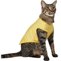 Frisco 30+ UPF Dog & Cat Beach Rash Guard -Cat Supply Store 556286 PT3. AC SS1800 V1675714033