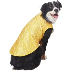 Frisco 30+ UPF Dog & Cat Beach Rash Guard -Cat Supply Store 556286 PT4. AC SS1800 V1675713977