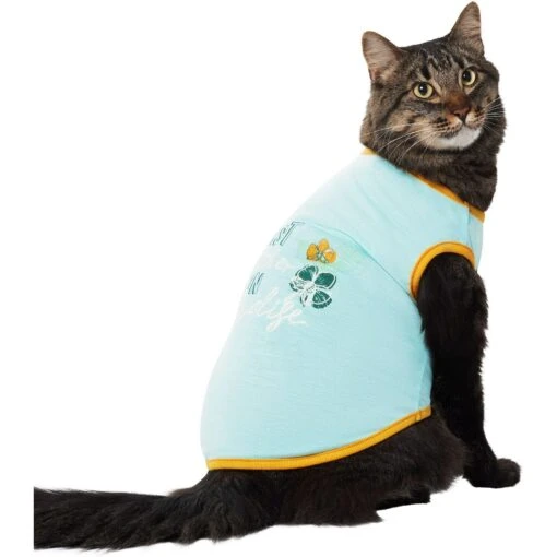 Frisco Just Another Day In Paradise Dog & Cat T-Shirt -Cat Supply Store 556406 PT2. AC SS1800 V1675103606