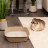 Kitty Sift Disposable Cat Litter Box, 6 Count -Cat Supply Store 613310 MAIN. AC SS1800 V1663712520