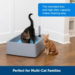 PetSafe Multi-Cat Litter Box -Cat Supply Store 617526 PT1. AC SS1800 V1660257512