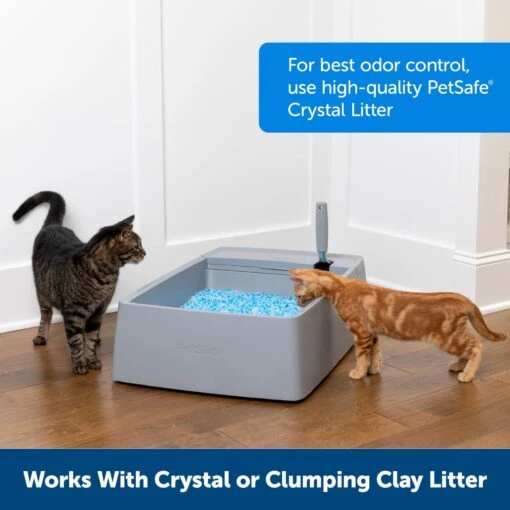 PetSafe Multi-Cat Litter Box -Cat Supply Store 617526 PT5. AC SS1800 V1660253958