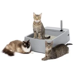 PetSafe Multi-Cat Litter Box -Cat Supply Store 617526 PT6. AC SS1800 V1660255555