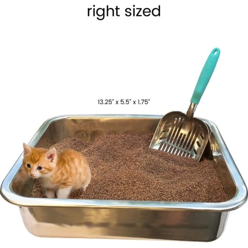 DurAnimals DuraScoop Original Cat Litter Scoop, Color Varies -Cat Supply Store 62345 PT6. AC SS1800 V1543851424