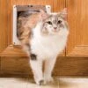 PetSafe 2-Way Locking Cat Door -Cat Supply Store 64002 MAIN. AC SS1800 V1628114542