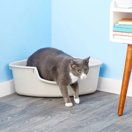 SmartCat Corner Litter Box -Cat Supply Store 64198 MAIN. AC SS1800 V1565284373