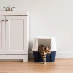 IRIS USA Jumbo Enclosed Hooded Cat Litter Box With Front Door Flap -Cat Supply Store 645518 PT1. AC SS1800 V1687785354