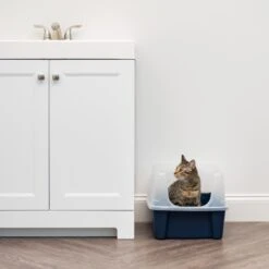 IRIS USA Open Top Litter Box With Scatter Shield -Cat Supply Store 65498 PT2. AC SS1800 V1680803978