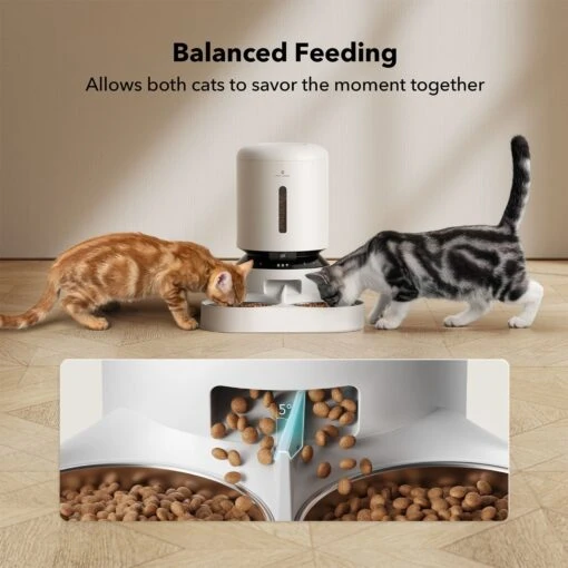 Petlibro Granary Automatic Two Cat & Dog Feeder With Camera -Cat Supply Store 661270 PT6. AC SS1800 V1665174479