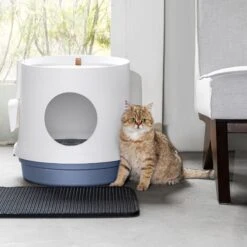 Hanamya Cat Litter Box With Scoop & Scratcher -Cat Supply Store 677142 PT8. AC SS1800 V1680728860