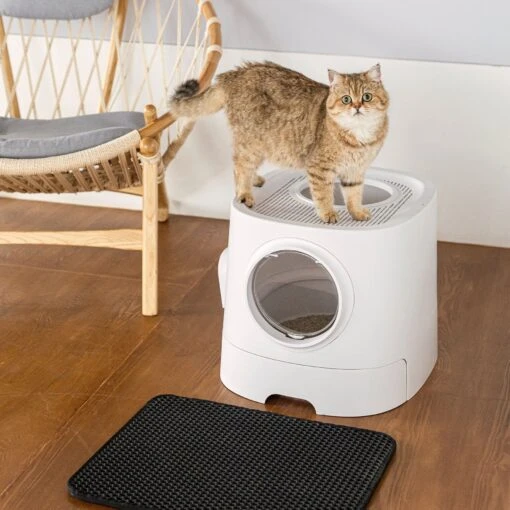 Hanamya Cat Front Entry Top Exit Cat Litter Box With Scoop, X-Large -Cat Supply Store 677158 PT1. AC SS1800 V1680728860