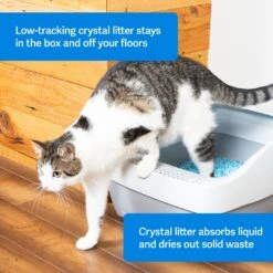 PetSafe ScoopFree Premium Crystal Litter 2-Pack & PetSafe ScoopFree Complete Reusable Litter Tray -Cat Supply Store 694158 PT2. AC SS1800 V1668532511