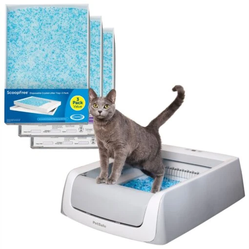 PetSafe ScoopFree Complete Disposable Crystal Litter Tray & PetSafe ScoopFree Complete Plus Self-Cleaning Litter Box -Cat Supply Store 694182 MAIN. AC SS1800 V1668464352