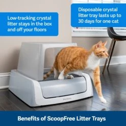 PetSafe ScoopFree Complete Disposable Crystal Litter Tray & PetSafe ScoopFree Complete Plus Self-Cleaning Litter Box -Cat Supply Store 694182 PT3. AC SS1800 V1668531824