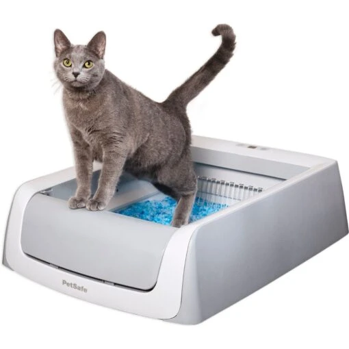 PetSafe ScoopFree Complete Disposable Crystal Litter Tray & PetSafe ScoopFree Complete Plus Self-Cleaning Litter Box -Cat Supply Store 694182 PT5. AC SS1800 V1668531393