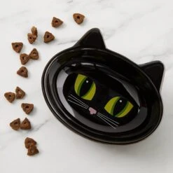 PetRageous Designs Frisky Kitty Oval Cat Dish -Cat Supply Store 70333 PT2. AC SS1800 V1542236361